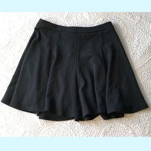 Lush Skater Mini-Skirt